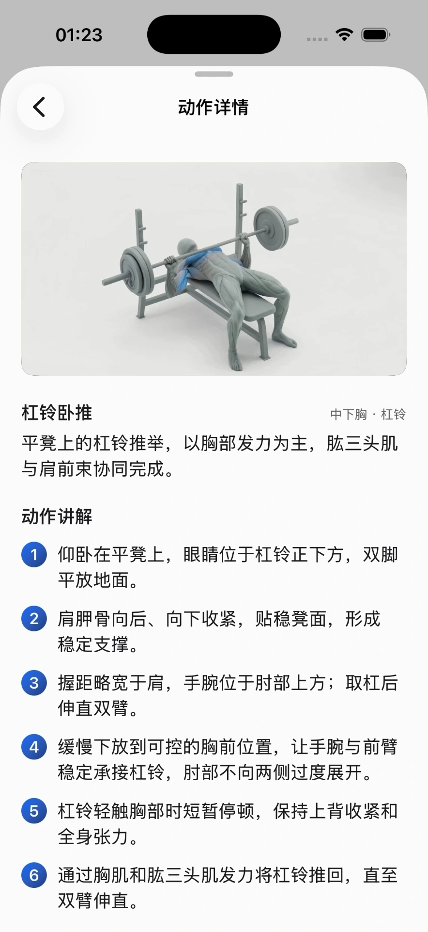 杠铃卧推 · 轻麦蓝配色与实际动作视频清晰海报